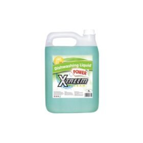 Dishwashing Liquid 5L X4-0141-00 zwaap