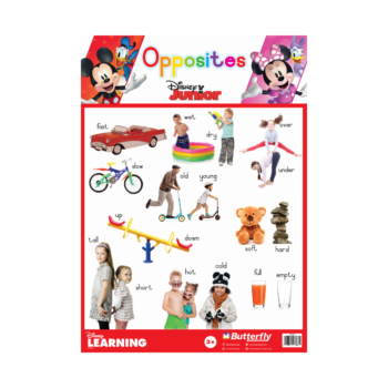 Opposites Kids Chart